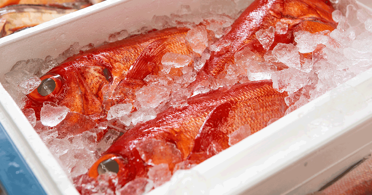 尼崎 塚口にある魚屋 株式会社 魚里本家 飲食店の仕入れに