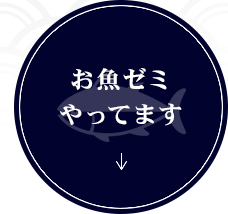 お魚ゼミやってます