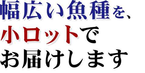 幅広い魚種を、小ロットでお届けします